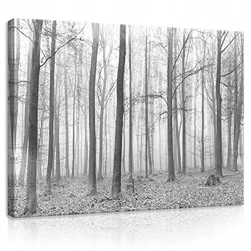 WallArena - Leinwand Bilder - Wald schwarz weiß - 100x75 cm Leinwandbilder - Bild auf leinwand - Wandbild XXL groß Wandbilder für Wohnzimmer Schlafzimmer Wohnzimmerbilder Modern