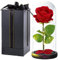 ELEUTH Rosa Stabilizzata Regalo Fidanzata Donna Compleanno,Rosa Bella e la Bestia Regalo Natale per Mamma,Festa della Mamma Idee Regalo Eterna Rosa in Vetro Regalo Anniversario San Valentino per Lei