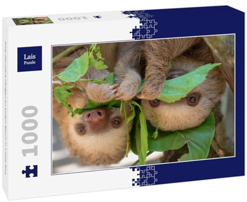 Lais Puzzle Zwei Faultiere hängen an einem Baum in Costa Rica 1000 Teile