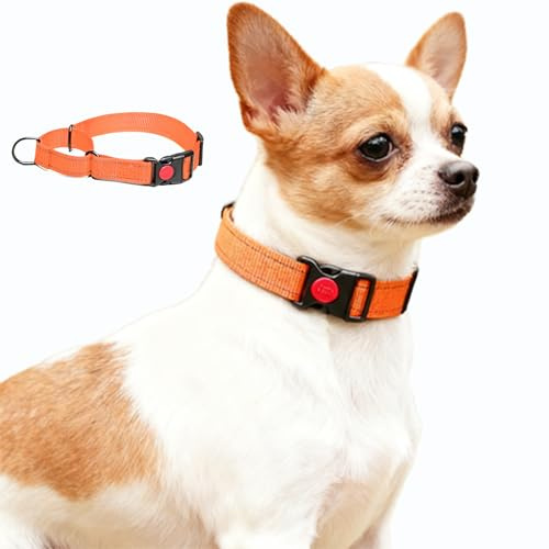 Martingale Hundehalsband, Reflektierendes Zugstopp Halsband Hunde für Große Mittlere und Kleine Hunde, Nylon Zughalsband mit Stopp für Hunde Whippets, Greyhounds (Orange, XS)