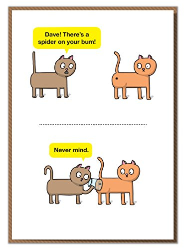 Dave! There's A Spider On Your Bum! Funny Birthday Card