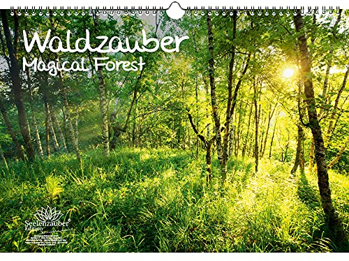 Waldzauber DIN A3 - Immerwährender Kalender Wald - Seelenzauber