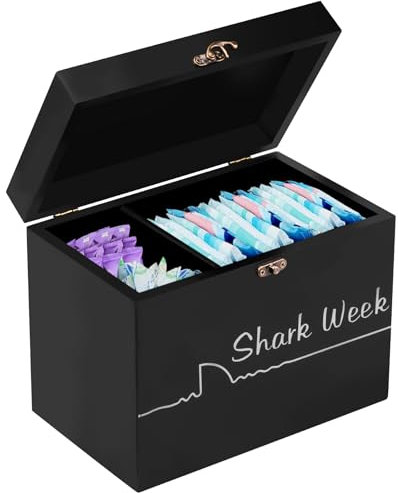 Period Box with Lid, 2-Compartment Bathroom Tampon Holder Sanitary Storage Box, Tampon Storage Container, Feminine Product Organizer, Sanitary Napkin Holder Case for Bathroom Accessories(black)