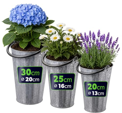 KADAX Übertöpfe 3er Set, Blumentöpfe aus verzinktem Stahl, Vintage Pflanztöpfe, Pflanzentöpfe für Balkon, Terrasse & Garten, Metall Kräutertöpfe (Silber)