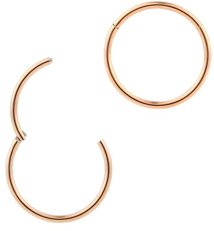 365 SLEEPERS 2 Stck Nasenring Hoop Titan Knorpelohrring Septum Clicker Ring 1,0mm Edelstahl Klappbarer Segmentring Lippenring Conch Daith Helix Rook Tragus Lobe Snug Ear Body Piercing Schmuck
