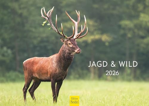 Edition Seidel Premium Kalender Jagd und Wild 2026 Format DIN A4 Wandkalender Tierkalender Wildtier Waldtier Wild Hirsch Wildschwein Ente Wald Jagd Revier