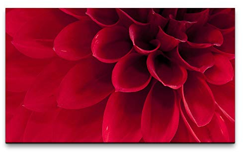 Paul Sinus Art Bilder XXL rote Dahlie Nahaufnahme 120x70cm Wandbild auf Leinwand