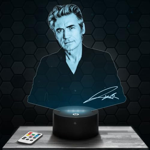 Lampephoto.fr - Ligabu 3D Lampe, Touch Nachtlicht, Deko Pop RocK. Geschenkidee Mann Frau objekt Ligabu Nachtlicht Erwachsene deko Zimmer, 3D Led Illusion