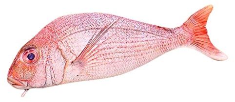 Drawihi Kreative Simulation Fisch Federmäppchen Koreanische Schreibwaren personalisierte KugelBleistift Tasche (Schnapper)
