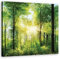 Feeby Leinwandbild Wald Sonnenstrahlen zwischen den Bäumen 30x30 cm Bild Kunstdruck Natur Blätter Äste Grün