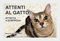 Social Crazy - Nuovo Cartello di Avvertimento - Attenti al Gatto, Attacco a Sorpresa - Adesivo Extra Resistente, Pannello in Forex, 20x31 cm
