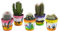 Kakteen | Kakteen Mix in mexikanischem Topf | 5 Stück | diverse Sorten | Ø 6 cm | ↕ 8-13 cm | Pflegeleichte Zimmerpflanzen | inklusive farblich abgestimmtem Übertopf