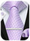 HISDERN Plaid Violet cravate pour hommes mouchoir bouton de manchette pince à cravate ensemble formel fête de mariage cadeaux