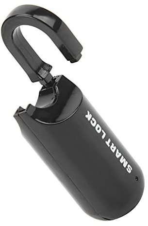 Lucchetto con Impronta Digitale, 10 Set Lucchetto con Impronta Digitale in Lega di Zinco Antifurto Senza Chiave Ricaricabile Tramite USB con Indicatore Luminoso a LED, Sblocco di