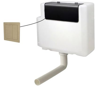Nes Home Concealed Cistern Dual Flush Front Access Square Button Brushed Brass