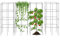 GOPLUS Lot de 4 Cages à Tomates, Support de Plantes de Grimpantes, Treillis pour Raisins, Fruits, Vigne, Fleurs, Convient pour Jardin, Balcon,40 x 40 x 100CM