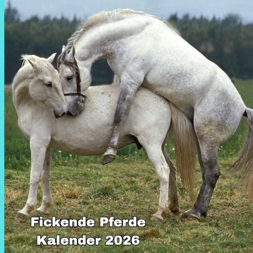 Fickende pferde kalender 2026