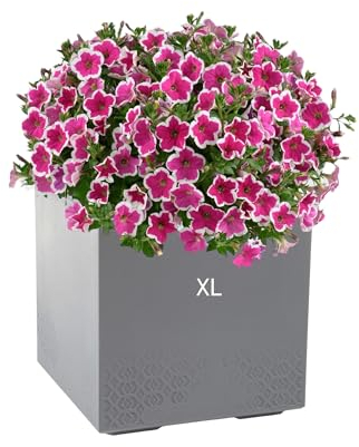 MELTOM Blumenkübel Blumentopf Quadratisch mit Rollen sehr Dekorativ (Grau, XL)