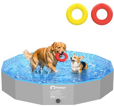 Peteast Piscine pliable pour chien avec 2 disques volants, en plastique dur durable, pour grands chiens, piscine pliable pour arrière-cour et intérieur, idéale pour chiens et enfants, 160 cm