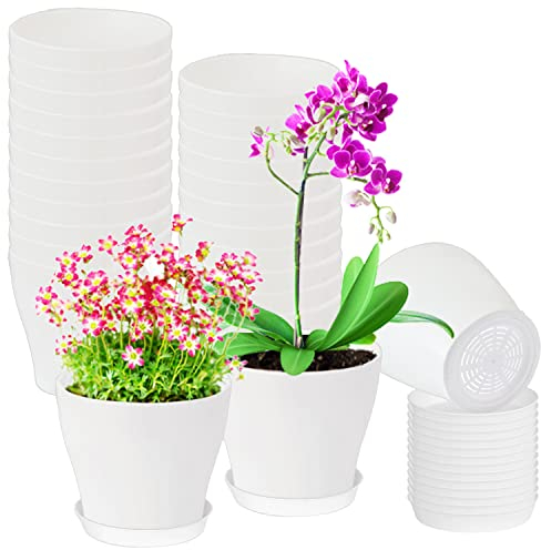 Cshangzei Lot de 24 pots de fleurs blancs de 10,2 cm en plastique avec plateaux et trous de drainage, conteneur pour plantes succulentes d'intérieur pour petites plantes, herbes, graines