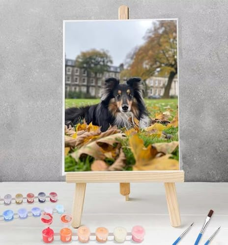 Kit Peinture par Numéro pour Adulte Enfant Animal, Kit Numero d'Art Chien Loisir Creatif Enfant Idéal Comme Cadeau Anniversaire, Numero d'art 50x65 cm Model YEYUMEOZ3-D