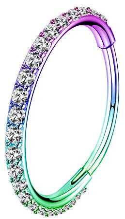 OUFER 20G Rainbow Nose Ring Hoops Hinged Seamless Segment Helix Piercings Nostril Clicker 316L Stainless Steel CZ Line Daith Tragus Cartilage Earring Jewellery 8 mm