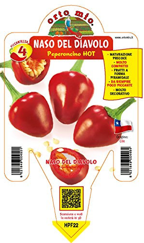1 PIANTA IN VASO Ø 14CM PEPERONCINO PICCANTE PANCHO ORTOMIO