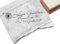 Stempel - Individueller Adressstempel PUSTEBLUME II, Familienstempel personalisiert Adresse Geschenk zum Geburtstag - zAcheR-fineT