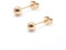 Artskin Women Stud Earrings Girls Titanium Earrings Hypoallergenic Classic 6mm Rose Gold Plated Round Ball Men Earrings for Sensitive Ears