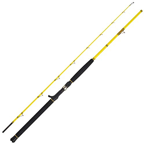 WFT Sea Dart 20lbs 50-240g 2,10m