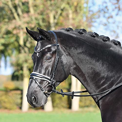 BUSSE Trense COMFORT PLUS