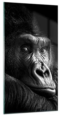 Wandbilder Dekoration Wohnzimmer Affe Gorilla Porträt Bilder auf Glas 65x120cm Glasbild Schlafzimmer Küche Deko Wand Kunstdruck Art Groß XXL Wanddeko Bild im Glas Modern Wall Decor GPA65x120-5007
