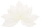 sourcing map Weiße Skelettblätter, 5,1 cm - 7,6 cm, Gummibaum, Scrapbooking, getrocknete gepresste Blätter, Adern für Fotoalben, Basteln, Hochzeitskarten, Arrangements, Dekoration, Geschenke, 100