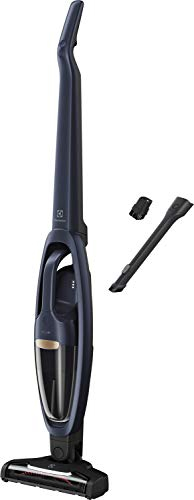 Electrolux Aspirateur sans Fil WQ71-50IB avec Aspirateur à Main Intégré