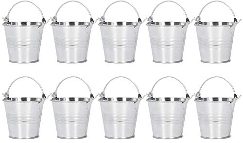 Petit Seau de Jardinage en Fer, Pot de Pot Succulent de 10 Pièces, Petit Seau en Métal pour Décoration Intérieure Extérieure, Pot de Fleurs, Mini Pot de Plantes Succulent 10 Pièces (argent brillant)