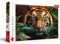 Trefl - Wilder Tiger - Puzzle 1000 Elemente - DIY-Spiel mit Tieren, Kreative Unterhaltung, Spaß, Klassisches Puzzle für Erwachsene und Kinder ab 12 Jahren