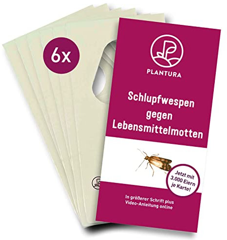 Plantura Schlupfwespen gegen Lebensmittelmotten, Komplett-Lösung mit 18 Karten (6 Karten à 3 Lieferungen) - hochwirksame & nachhaltige Bekämpfung, Alternative zu Mottenkugeln