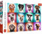 Lustige Hunde Porträts (Puzzle)