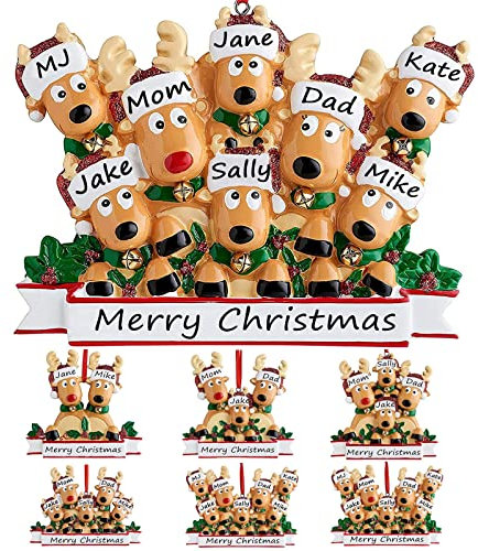 Addobbi Natalizi Personalizzati 2024 Cervo Palline di Natale con Nome Personalizzato Addobbi Natalizi Albero di Natale Decorazioni Natalizie Personalizzate,Famiglia di 8