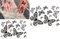 Lot de 2 feuilles de tatouage temporaire motif papillon CP3