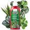 LERAVA® - Engrais Plantes Vertes Intérieur [Croissance Améliorée] - 2x700 ml - Formule Haute en Nutriments - Nourriture Liquide pour Plantes - Croissance Luxuriante - Pour Tous Types - Bouchon Doseur