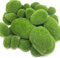 Woohome Musgo Artificial Rocas Decorativas, 30 Pz 3 Tamaño Piedras Artificiales Decorativas de Imitación para Jardines, Diseño de Terrarios de Hada, Arreglos Florales y Manualidades