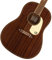 Gretsch JD Dreadnought Delto MAH WPG FRSTN - Westerngitarre