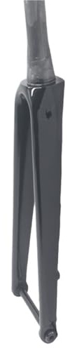 Generico Forcella Anteriore Interamente in Carbonio 700C, Nero Opaco, canotto da 28,6 mm, Perno Passante 100x12 mm for Bici da Corsa e a Scatto Fisso(Glossy)