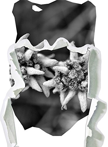 Stil.Zeit Monocrome, Weißes Edelweiß Papier im 3D-Look, Wand- oder Türaufkleber Format: 62x45cm, Wandsticker, Wandtattoo, Wanddekoration