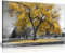 Panther Print Impression sur toile avec grand arbre et feuilles jaunes - Noir et blanc - 24 x 16 cm