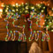 Beleuchtet Rentier Weihnachtsdeko Fenster, 100 LED Lichterkette mit Timer Fensterbeleuchtung Weihnachten, 8 Modi Weihnachtsbeleuchtung Hängen Lichterketten für Innen Außen Balkon Vorhang(2 Stück)