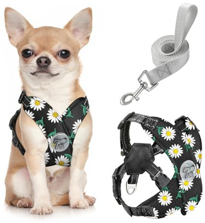 Pawaboo Hundegeschirr mit Hundeleine Set, X-Rahmen Verstellbares Anti Zug Anti-Erstickung Hund Brustgeschirr für Kleine, Mittelgroße Hunde & Welpen, Hundeweste mit Leine, S, Schwarze Gänseblume
