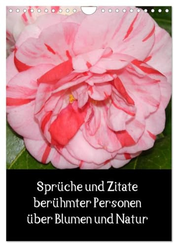 Sprüche und Zitate berühmter Personen über Blumen und Natur (Wandkalender 2026 DIN A4 hoch), CALVENDO Monatskalender: Wandkalender mit Kamelienbildern ... Spruch unter jedem Bild (CALVENDO Natur)