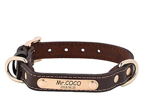 Hundehalsband mit Namen Telefonnummer Hundemarke Adresse Individuell selbst Gestalten Kragen Hund verstellbar für große kleine Hunde Haustier Pet Halsbänder mit hundeleine als Geschenk